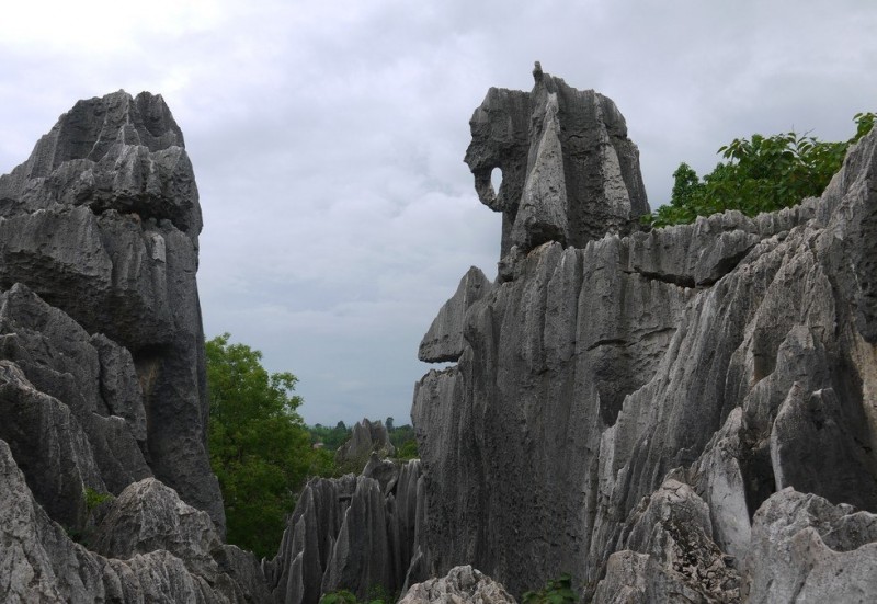 «Каменный лес» в провинции Юньнань