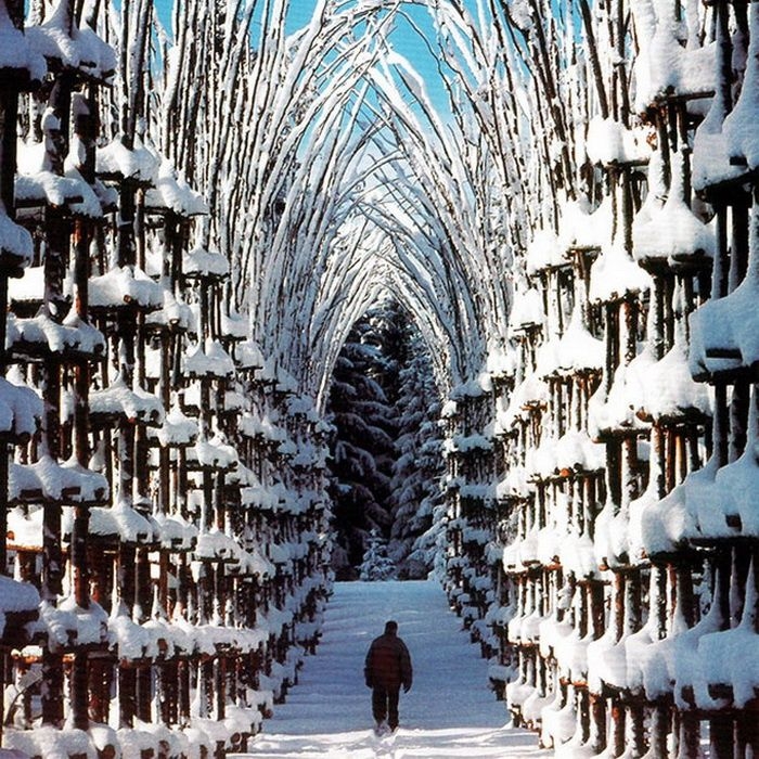 Живой собор из растений Cattedrale Vegetale, Италия Живой собор из растений Cattedrale Vegetale, Италия