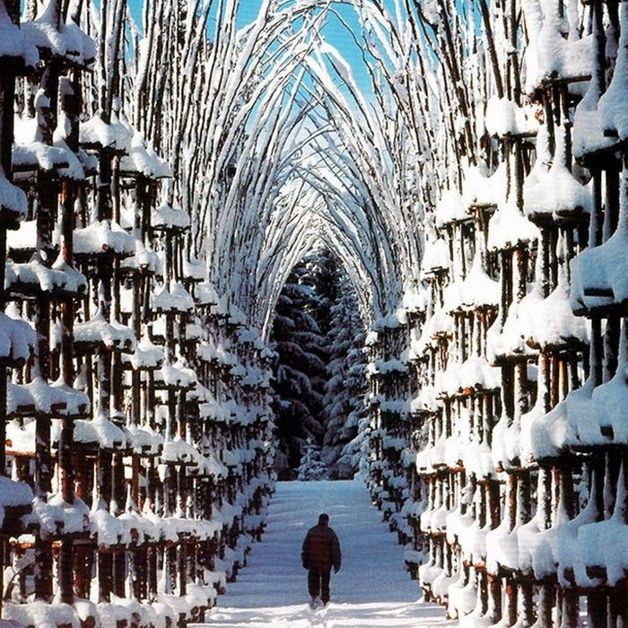 Живой собор из растений Cattedrale Vegetale, Италия