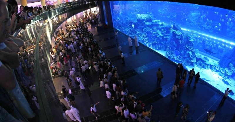 Огромный аквариум - Dubai Mall Aquarium, Дубай (ОАЭ)