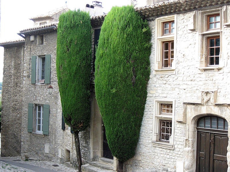 Везон-ла-Ромен (Vaison-la-Romaine). Прованс, Франция Везон-ла-Ромен (Vaison-la-Romaine). Прованс, Франция