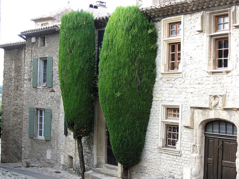 Везон-ла-Ромен (Vaison-la-Romaine). Прованс, Франция