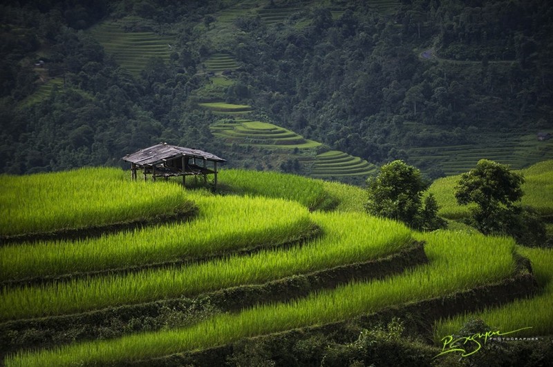 Волнующая красота Вьетнама