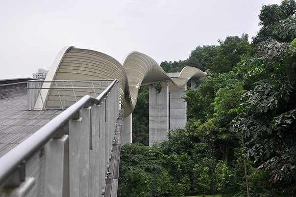 Красивейший мост Волны Хендерсона, Сингапур