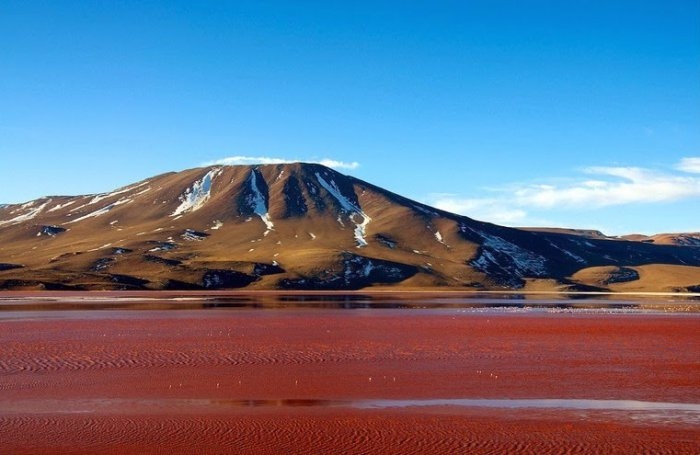 Красная лагуна в Боливии