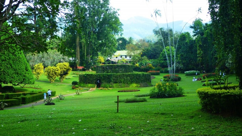 Королевский Ботанический Сад, Шри-Ланка 2