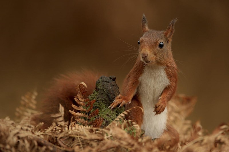 Позитив от фотографа Edwin Kats