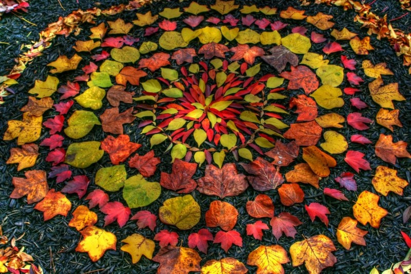 Природный арт Andy Goldsworthy