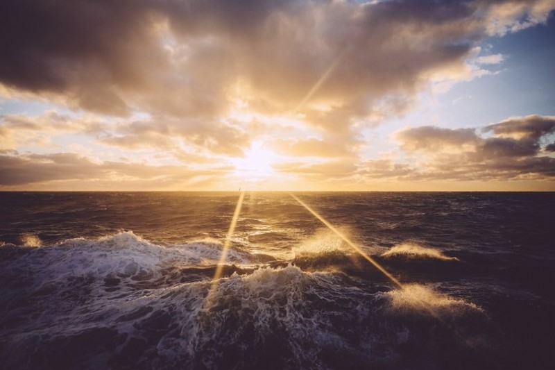 Холодная Антарктика...