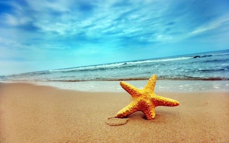 Красное море Красное море