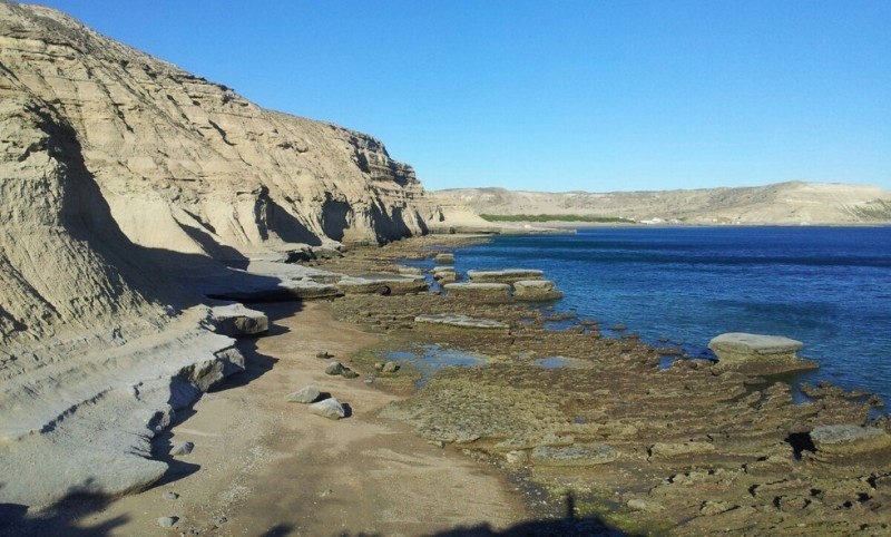 Полуостров Вальдес: рай для животных и морской фауны (Аргентина)