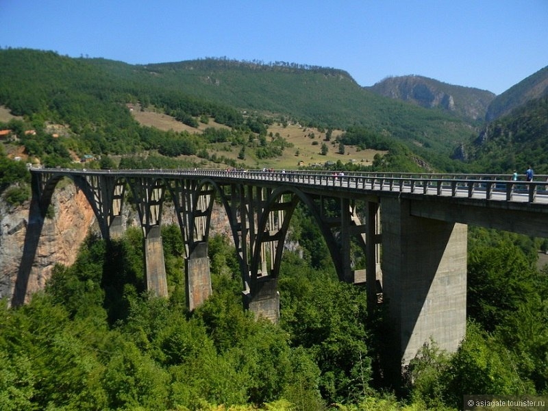 Река Тара в парке Дурмитор, Черногория