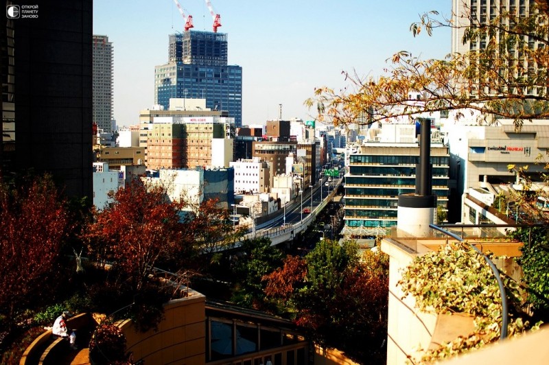 Цветущая крыша Namba Parks в Осаке