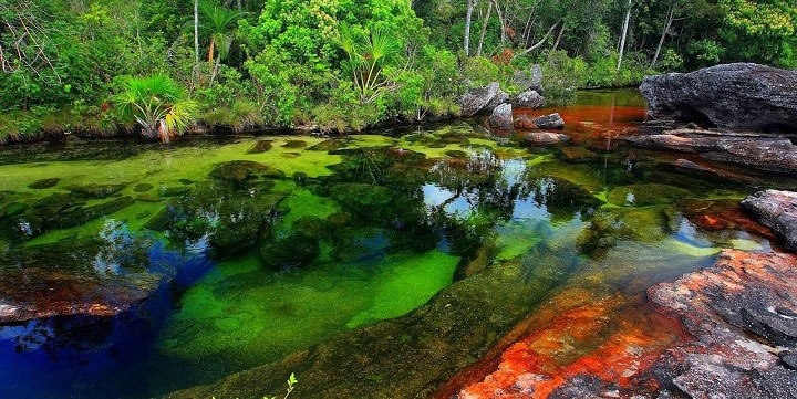 Каньо-Кристалес - фантастическая  река в Колумбии