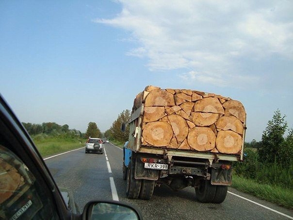 Настоящий рай для перфекциониста.