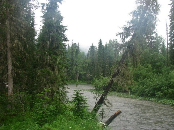 Енисейский кряж, Россия