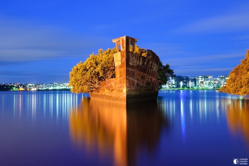 Заброшенное судно SS Ayrfield,Floating forest - плавающий лес