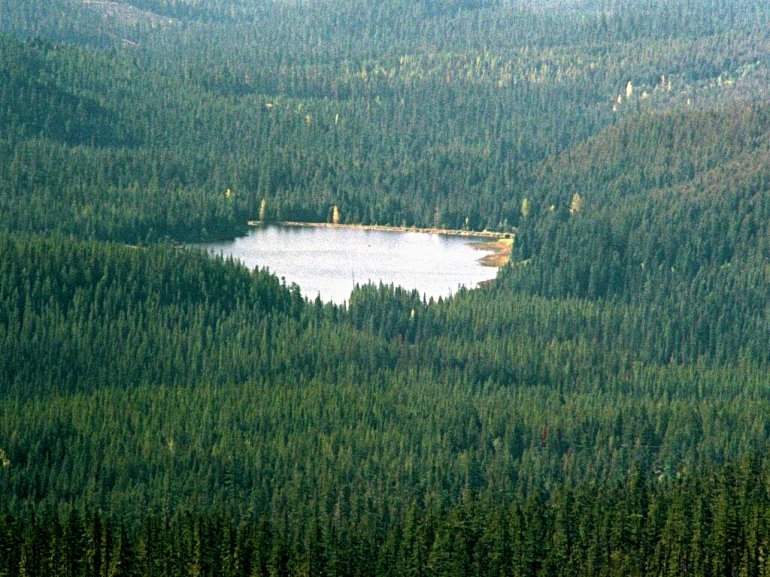 Озеро Триллиум в Орегоне