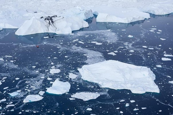 По-настоящему чарующие фотографии льдов Гренландии
