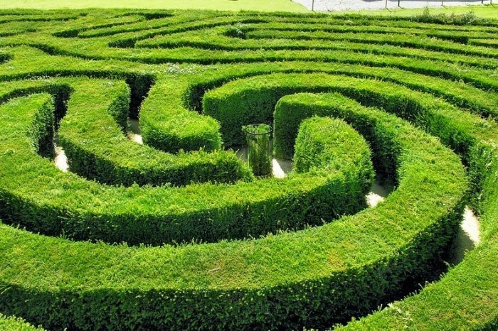 Longleat Hedge Maze: самый длинный в своём роде лабиринт в мире