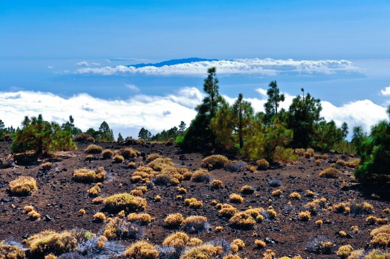 Пейзажи на территории Nacional de El Teide не оставят равнодушным никого.