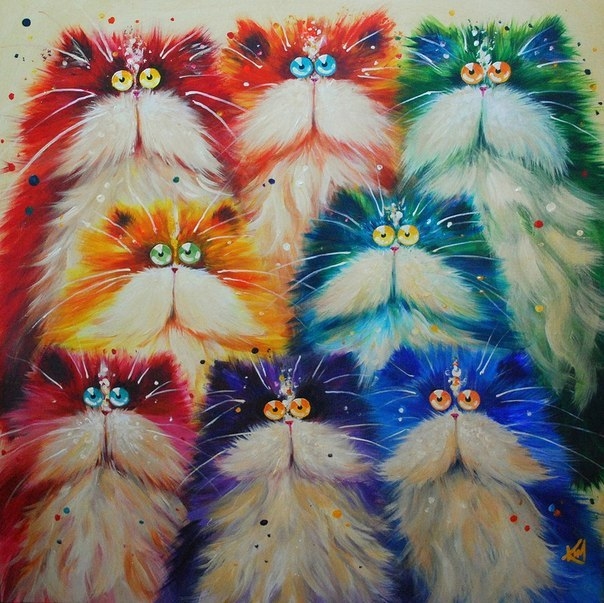 Забавные глазастые коты от Ким Хаскинс