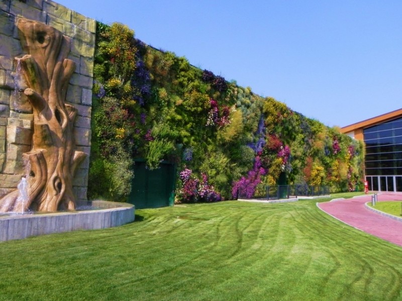 Цветущая стена: вертикальный сад в Россано