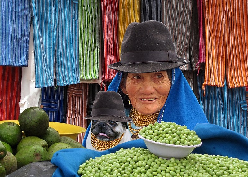 Планета мопс: забавные фотографии мопса, путешествующего по рынкам разных стран мира