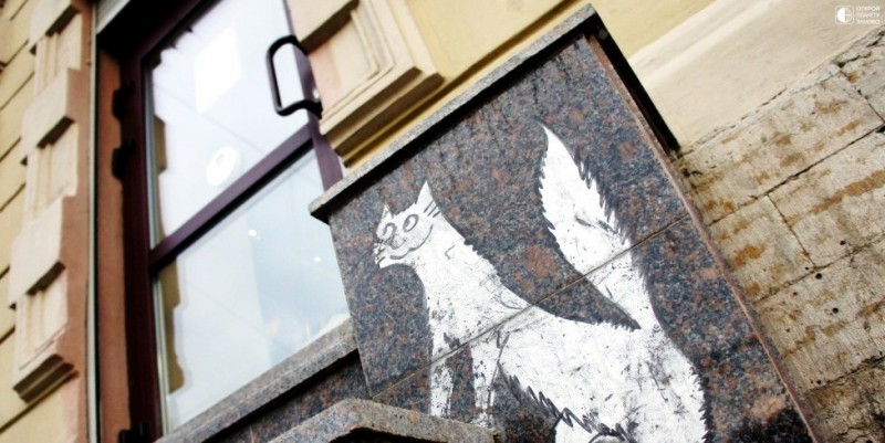 Кошачье кафе в Санкт-Петербурге Кошачье кафе в Санкт-Петербурге