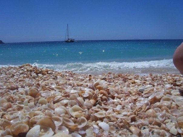 Шелл-бич - удивительный пляж, полностью усеянный ракушками, Австралия