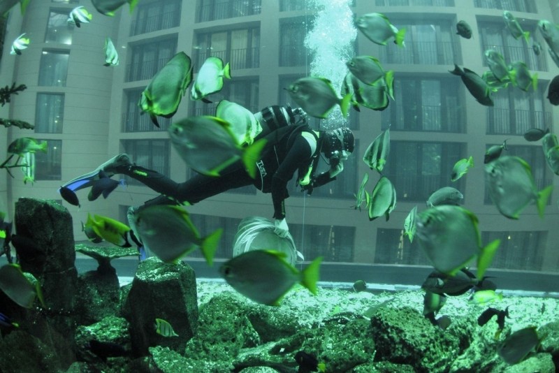 AquaDom AquaDom