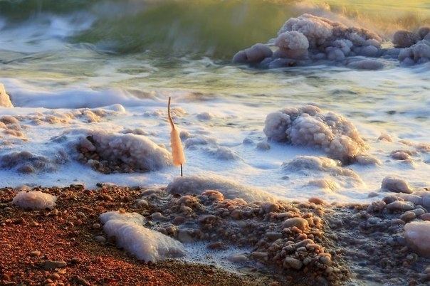 Мертвое море, один из самых удивительных водоемов планеты — курорт, лечебница и аттракцион «в одном 