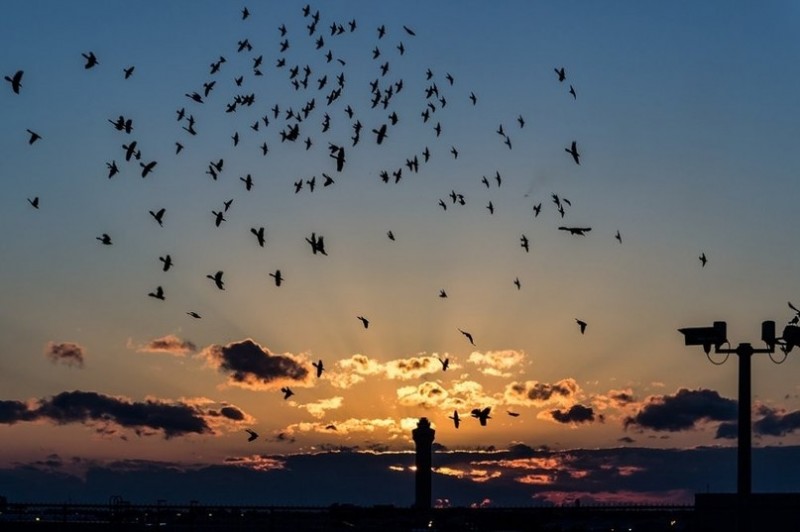 Потрясающее небо над Майами...