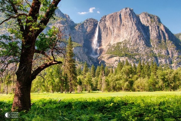 Национальный парк Йосемити - мир красивых достопримечательностей