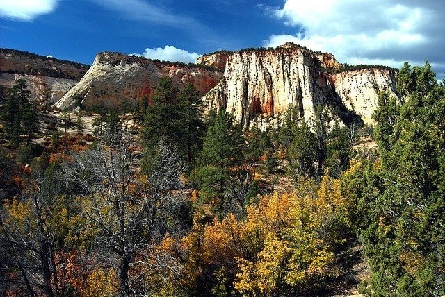 Сионский национальный парк (Зайон), Юта, США 7