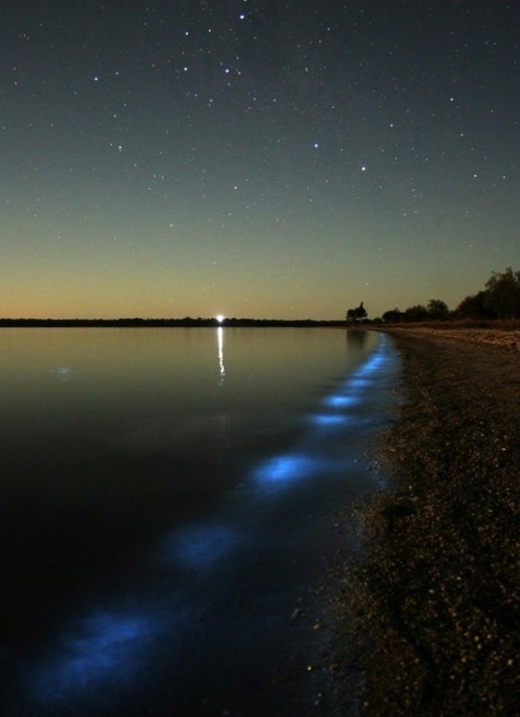 Гипселенд - озеро, которое светится ночью