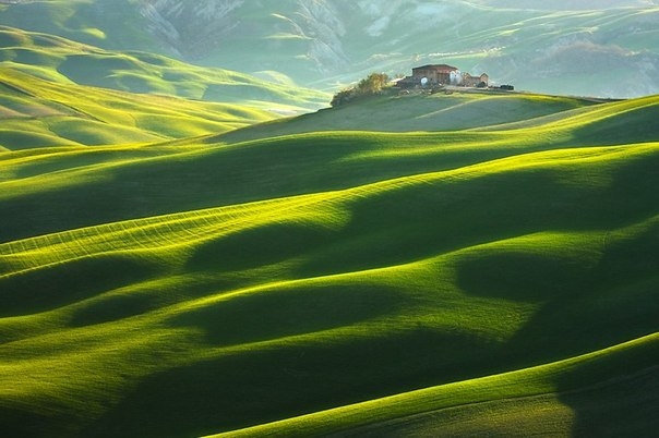 Живописные зеленые холмы итальянской Тосканы