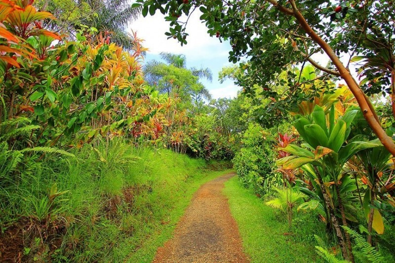 Потрясающие сады острова Мауи, Гавайский архипелаг.