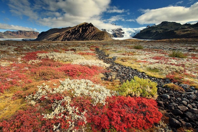 Фотографии, доказывающие, что Исландия является чудом природы 9