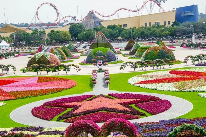 Dubai Miracle Garden: чудо-сад на песках (АОЭ)