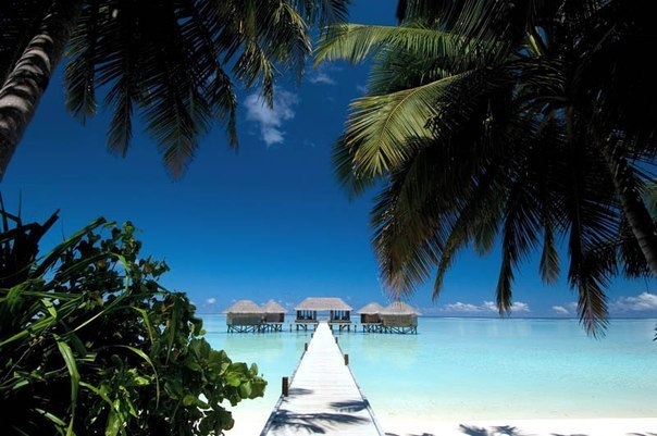 10 фактов о Мальдивских островах