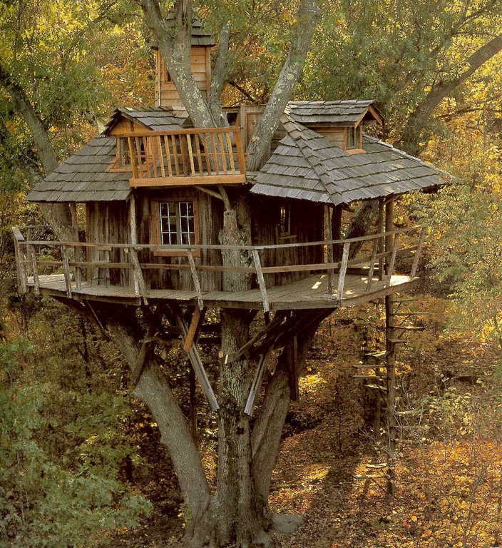 Удивительные дома на деревьях