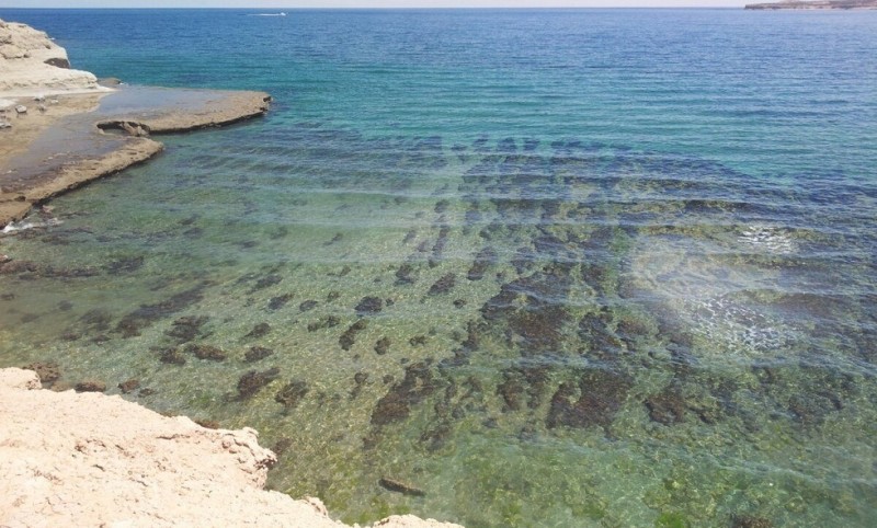 Полуостров Вальдес: рай для животных и морской фауны (Аргентина)