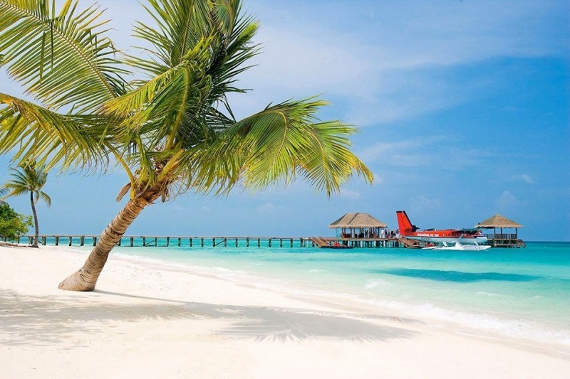 Alifu Dhaalu Atoll - великолепный тропический курорт на Мальдивах