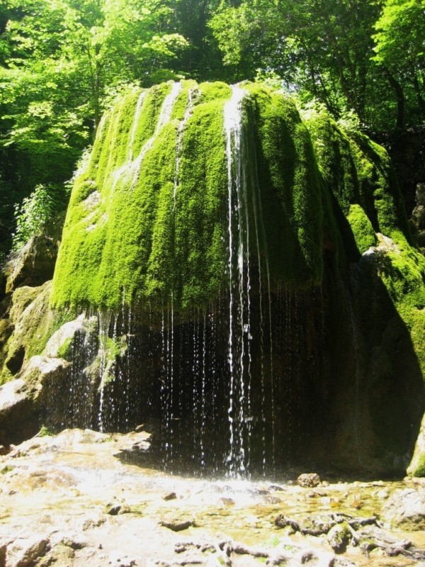 Водопад-зонтик Водопад-зонтик