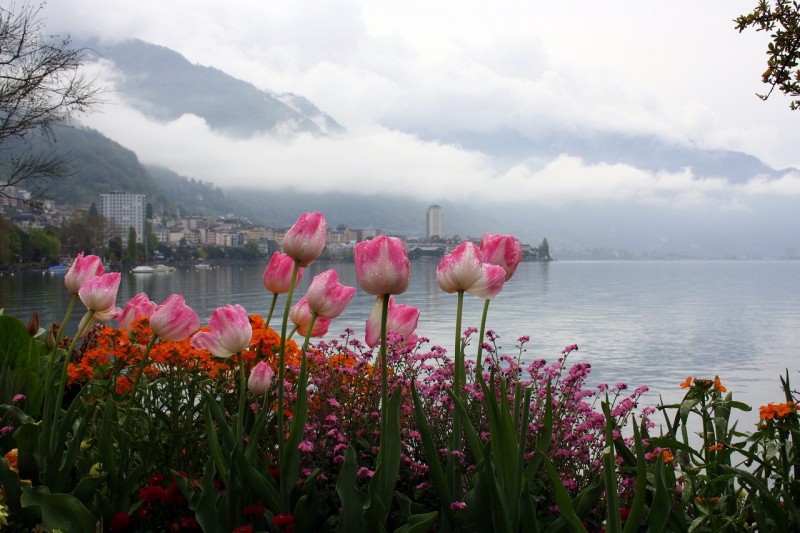 Женевское озеро — бирюзовое зеркало Швейцарских Альп