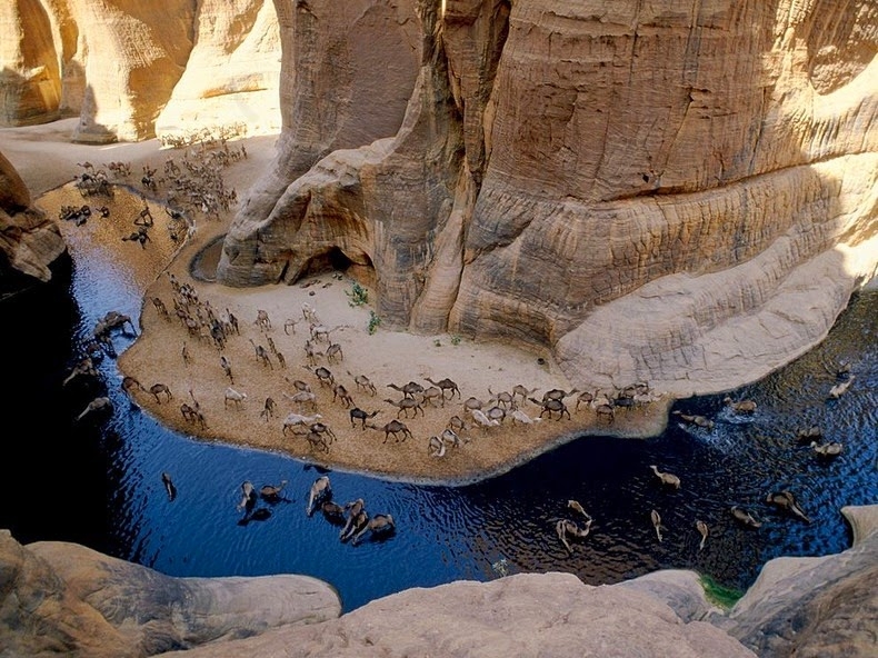 Удивительное место в центре пустыни Сахара