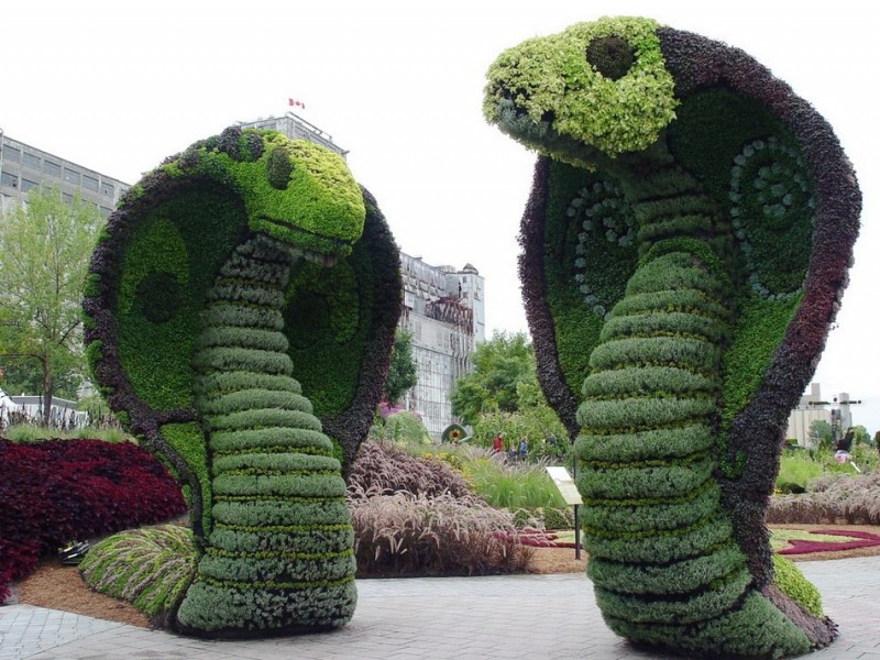 Конкурс садовых скульптур в Монреале