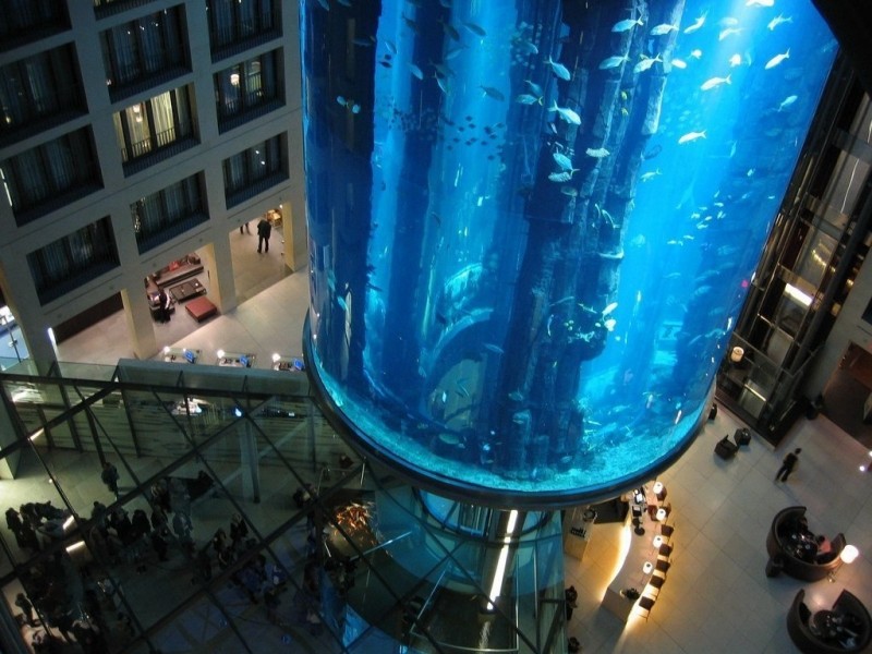 AquaDom AquaDom