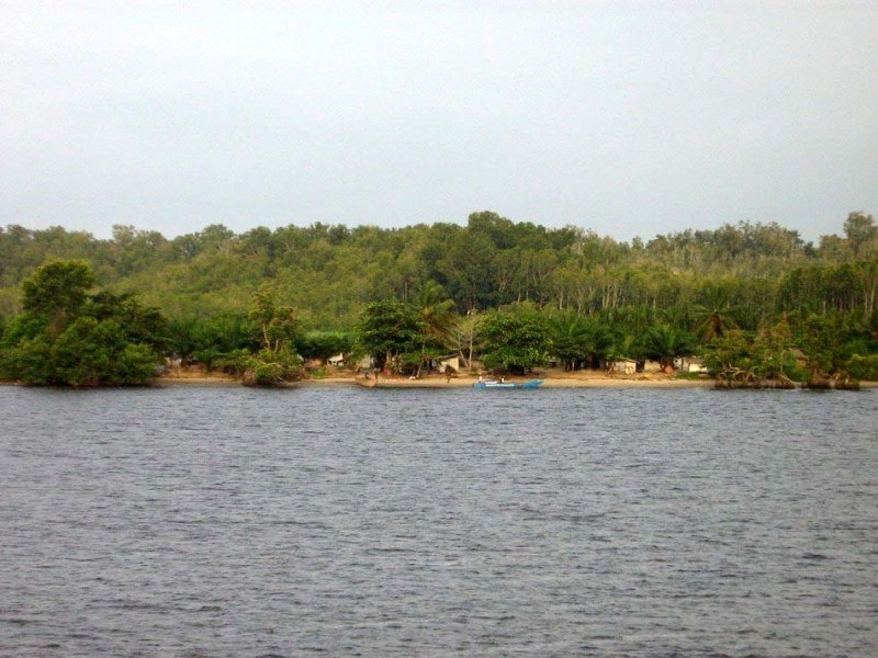 Самая большая река Самая большая река
